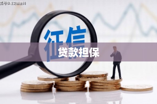 镇平贷款担保