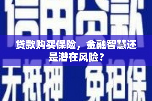 镇平贷款购买保险，金融智慧还是潜在风险？