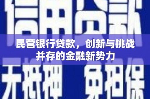 镇平民营银行贷款，创新与挑战并存的金融新势力
