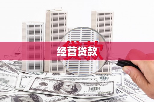 镇平经营贷款