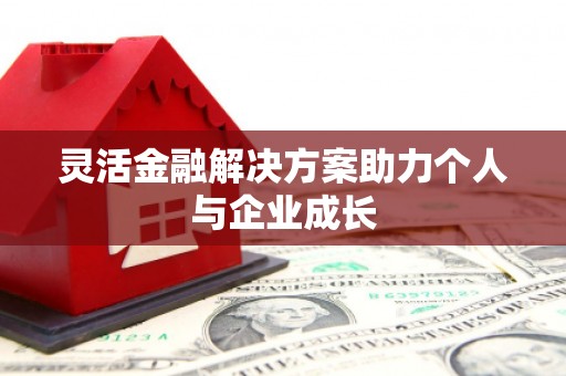 镇平灵活金融解决方案助力个人与企业成长