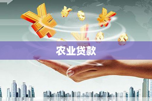 镇平农业贷款