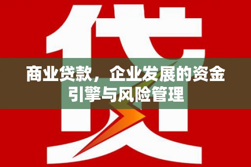 镇平商业贷款，企业发展的资金引擎与风险管理