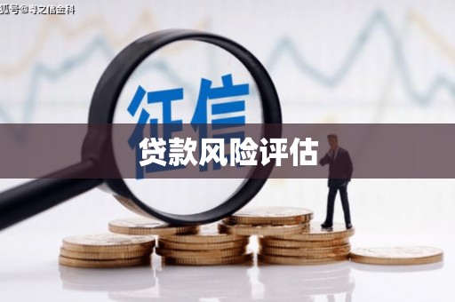 镇平贷款风险评估