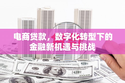 镇平电商贷款，数字化转型下的金融新机遇与挑战