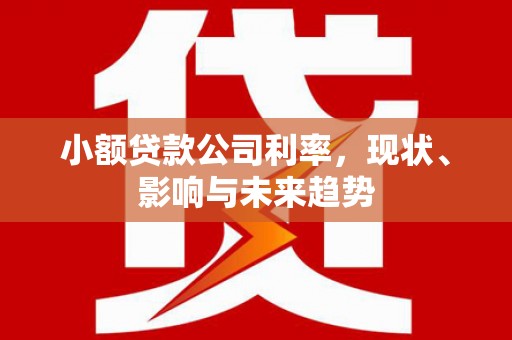 镇平小额贷款公司利率，现状、影响与未来趋势
