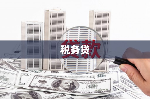 镇平税务贷