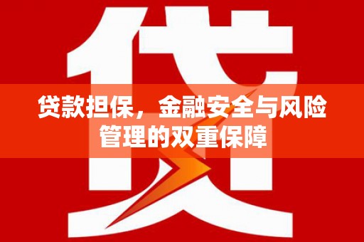 镇平贷款担保，金融安全与风险管理的双重保障