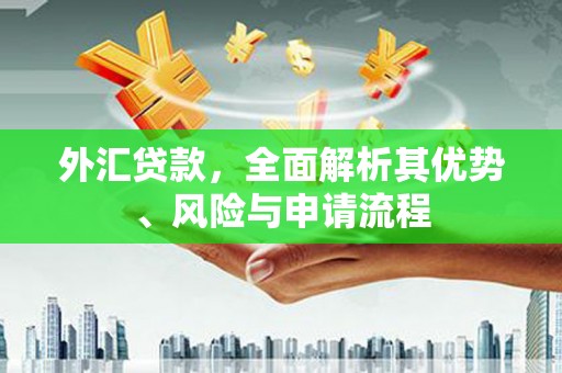 镇平外汇贷款，全面解析其优势、风险与申请流程