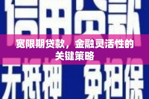 镇平宽限期贷款，金融灵活性的关键策略