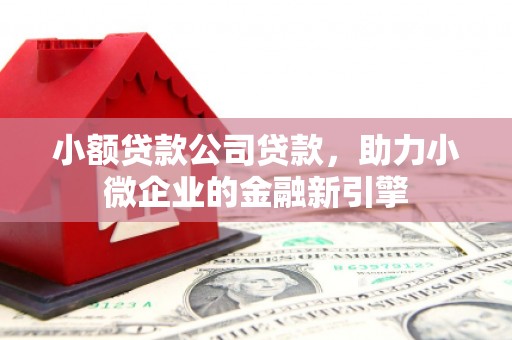 镇平小额贷款公司贷款，助力小微企业的金融新引擎