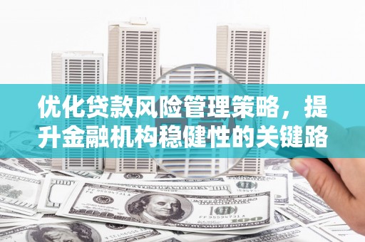 镇平优化贷款风险管理策略，提升金融机构稳健性的关键路径