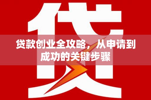 镇平贷款创业全攻略，从申请到成功的关键步骤