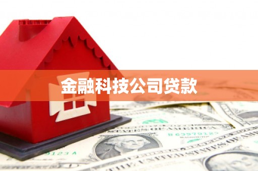 镇平金融科技公司贷款