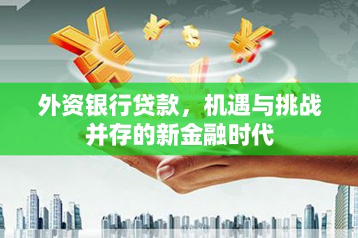 镇平外资银行贷款，机遇与挑战并存的新金融时代