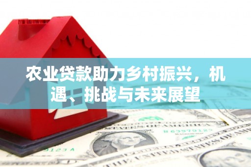 镇平农业贷款助力乡村振兴，机遇、挑战与未来展望