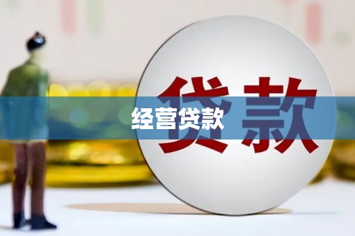 镇平经营贷款