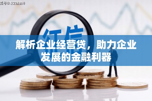 镇平解析企业经营贷，助力企业发展的金融利器