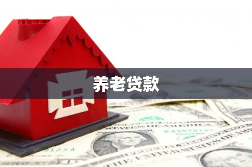 镇平养老贷款