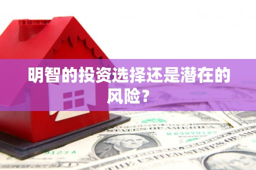 镇平明智的投资选择还是潜在的风险？