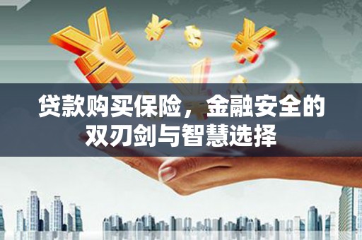 镇平贷款购买保险，金融安全的双刃剑与智慧选择