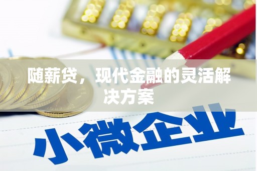 镇平随薪贷，现代金融的灵活解决方案