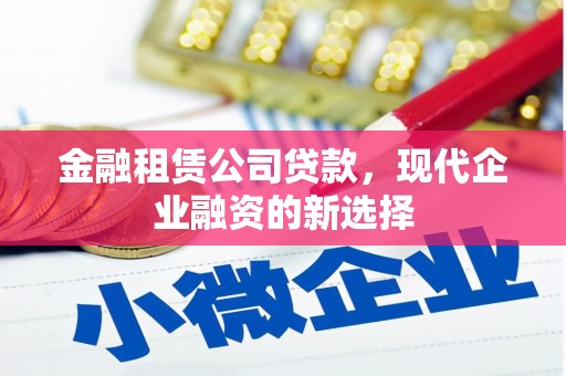镇平金融租赁公司贷款，现代企业融资的新选择