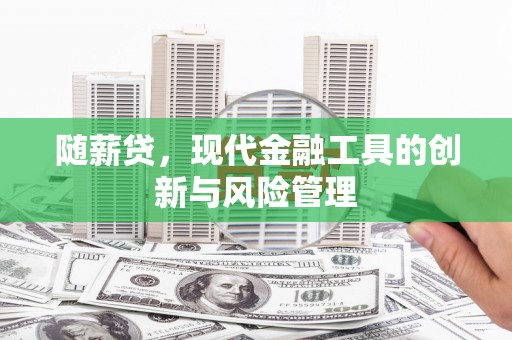镇平随薪贷，现代金融工具的创新与风险管理