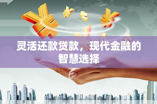 镇平灵活还款贷款，现代金融的智慧选择