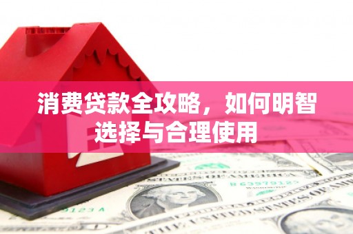 镇平消费贷款全攻略，如何明智选择与合理使用