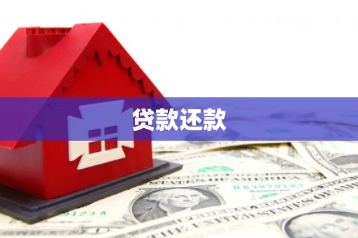 镇平贷款还款