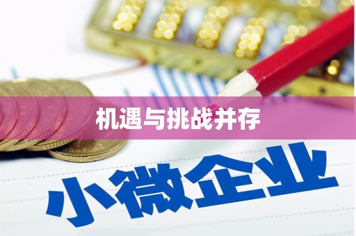 镇平机遇与挑战并存