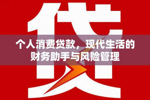 镇平个人消费贷款，现代生活的财务助手与风险管理