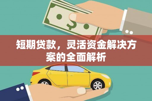 镇平短期贷款，灵活资金解决方案的全面解析