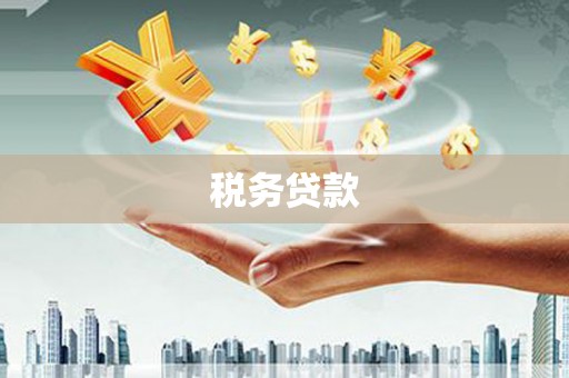 镇平税务贷款