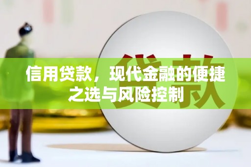镇平信用贷款，现代金融的便捷之选与风险控制