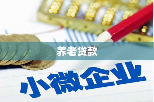 镇平养老贷款
