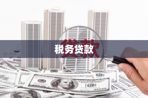 镇平税务贷款
