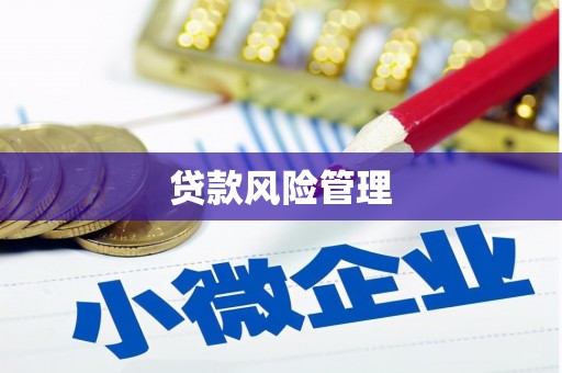 镇平贷款风险管理
