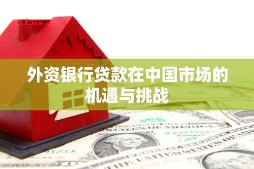 镇平外资银行贷款在中国市场的机遇与挑战