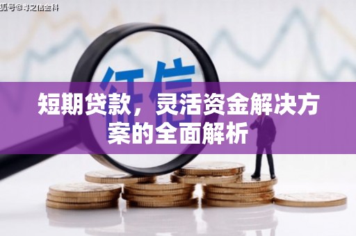 镇平短期贷款，灵活资金解决方案的全面解析