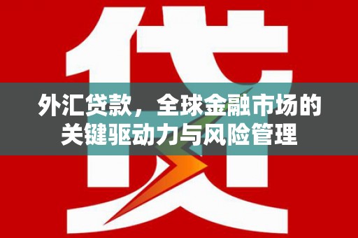 镇平外汇贷款，全球金融市场的关键驱动力与风险管理