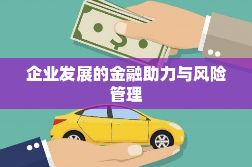 镇平企业发展的金融助力与风险管理