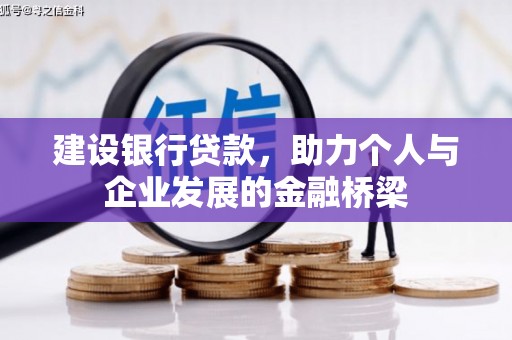 镇平建设银行贷款，助力个人与企业发展的金融桥梁