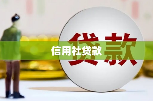 镇平信用社贷款