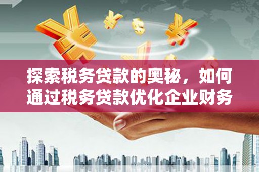 镇平探索税务贷款的奥秘，如何通过税务贷款优化企业财务