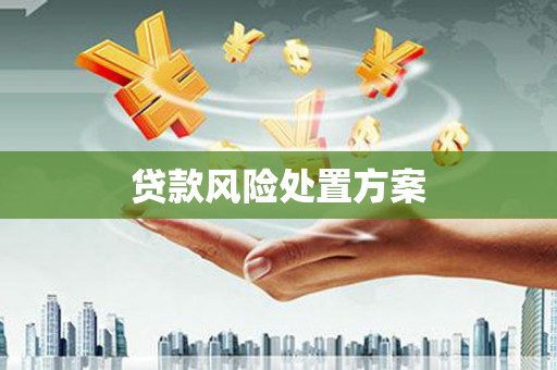 镇平贷款风险处置方案
