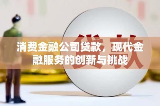 镇平消费金融公司贷款，现代金融服务的创新与挑战