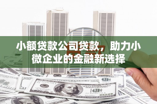 镇平小额贷款公司贷款，助力小微企业的金融新选择