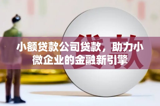 镇平小额贷款公司贷款，助力小微企业的金融新引擎